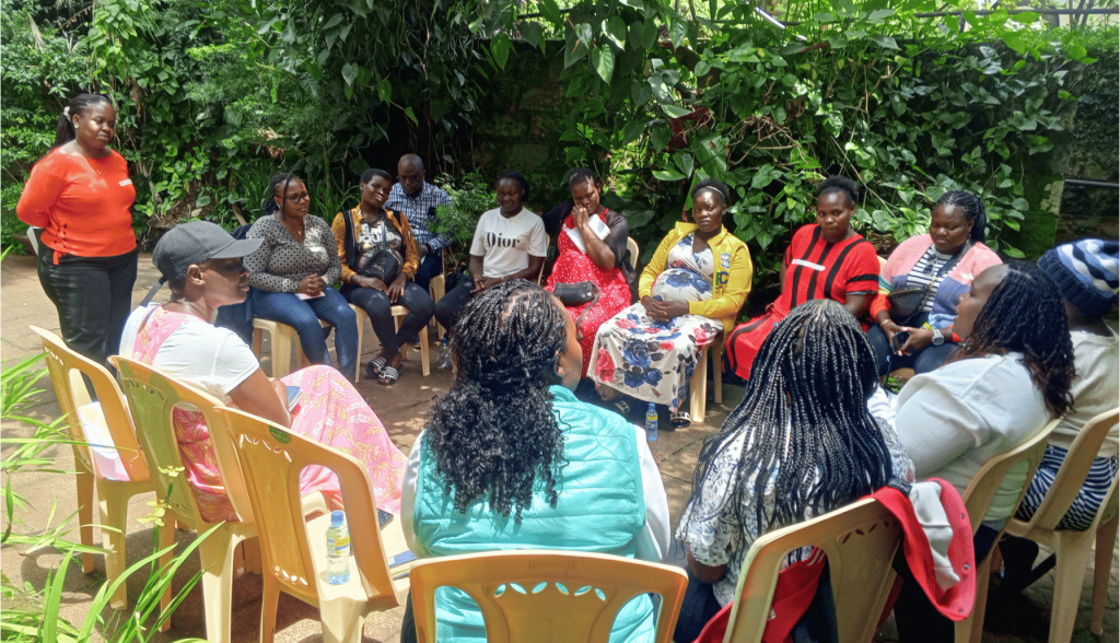 Pregnant women and survivors of pre-eclampsia participating in the Focus Group Discussions in Kenya.